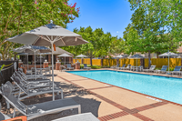 The Estate on Quarry Lake Apartment Homes in Austin, TX - Foto de edificio - Building Photo