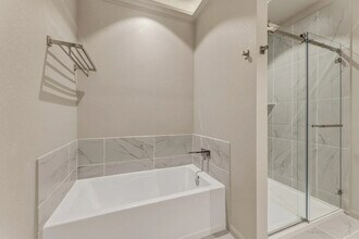 954 Beebrush Ln in New Braunfels, TX - Building Photo - Building Photo