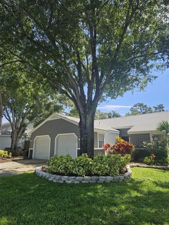 property at 339 Petrea Dr