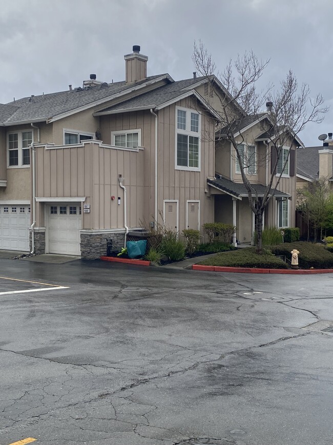 property at 10877 McPeak Ln