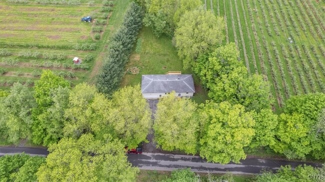 property at 7377 Merriman Rd
