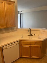 1011 Esparanza Way in San Jose, CA - Building Photo - Building Photo