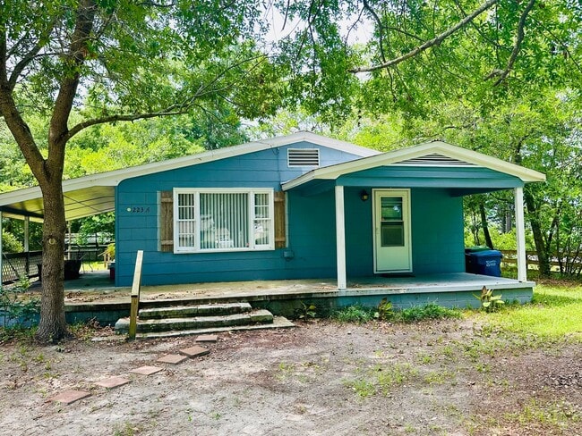 223 Myrtle Ave in Wilmington, NC - Building Photo - Building Photo