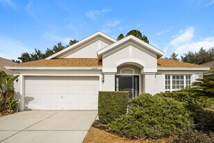10524 Egret Haven Ln in Riverview, FL - Building Photo