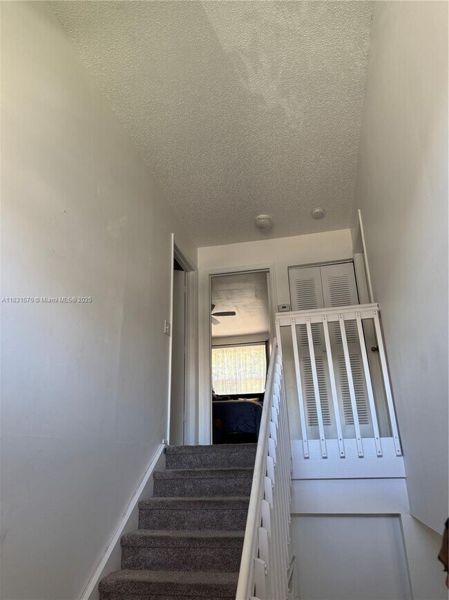 property at 7317 Flores Way