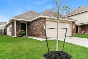 13815 Winding Path Ln in Willis, TX - Building Photo