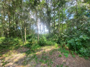 2034 Morning Glory St in Milton, FL - Building Photo - Building Photo