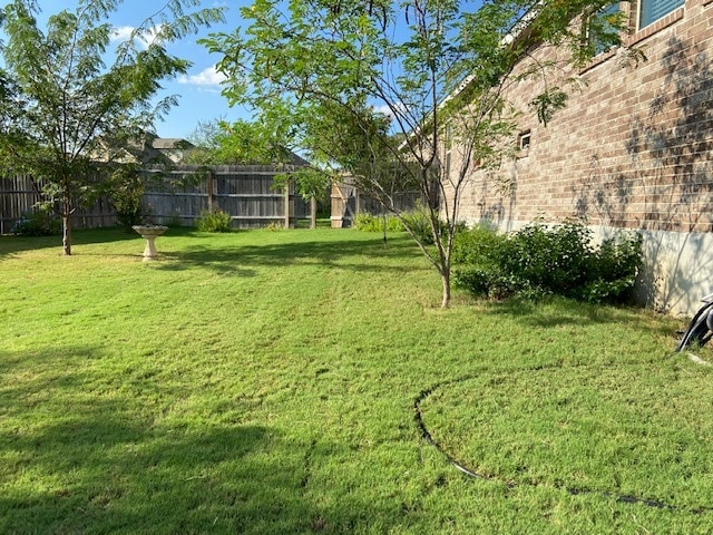 1253 Havens Cross in New Braunfels, TX - Building Photo - Building Photo