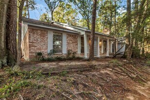11829 S Red Cedar Cir in Spring, TX - Building Photo