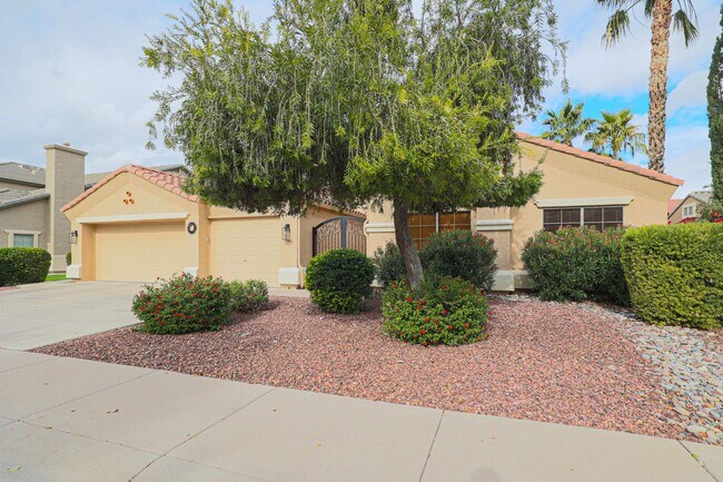 786 E Coconino Dr in Chandler, AZ - Building Photo - Building Photo