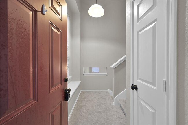 147 Anise Tree Pl in Spring, TX - Building Photo - Building Photo
