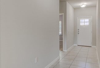 6705 Loretta White Ln in Austin, TX - Building Photo - Building Photo