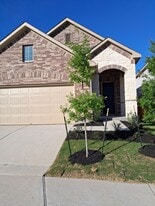 141 Knockout Rose Dr in San Marcos, TX - Building Photo