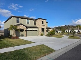 13137 Wellspring Dr in Lithia, FL - Building Photo