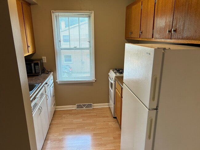 1133 Vilas Ave, Unit 1133 in Madison, WI - Building Photo - Building Photo