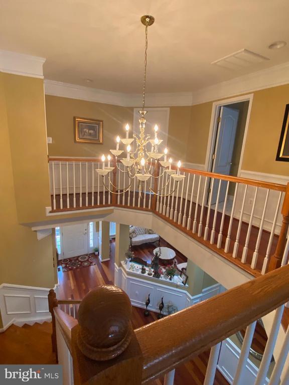 42084 Bear Tooth Dr in Stone Ridge, VA - Building Photo - Building Photo