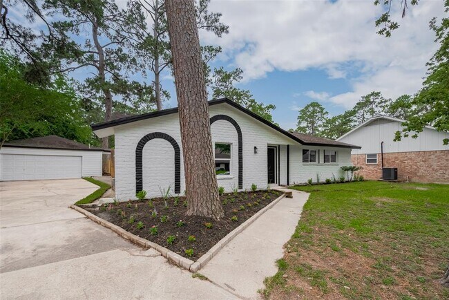 25411 Friar Lake Ln in Spring, TX - Building Photo - Building Photo