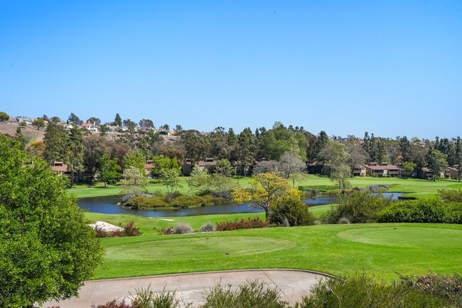 31348 W Nine Dr in Laguna Niguel, CA - Building Photo - Building Photo