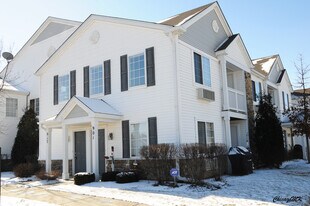 917 Silverstone Dr in Carpentersville, IL - Building Photo