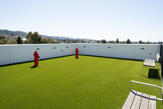 The Kittredge in Berkeley, CA - Foto de edificio - Building Photo