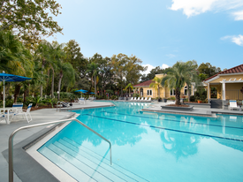 Grande Oasis at Carrollwood Apartamentos