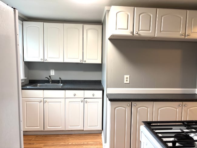 337 Village St in Millis-Clicquot, MA - Foto de edificio - Building Photo