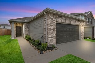 10006 Tiger Flower Ln in Houston, TX - Building Photo