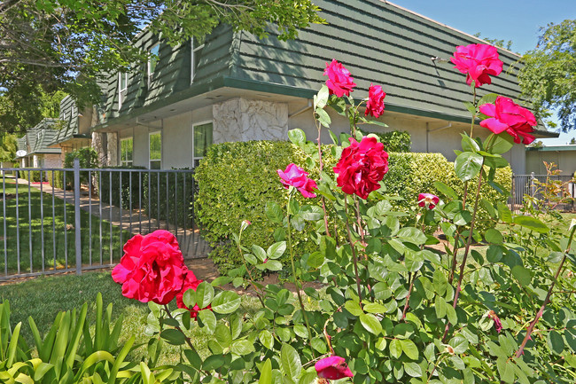 Cambridge Gardens in Rancho Cordova, CA - Foto de edificio - Building Photo