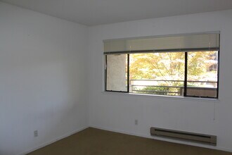 39206 Guardino Dr in Fremont, CA - Building Photo - Building Photo