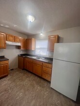 376 Walnut St in Springfield, MA - Building Photo - Building Photo