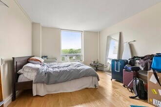 60 Babcock St, Unit 42 in Brookline, MA - Building Photo - Building Photo