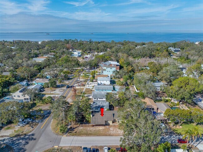 306 Crystal Beach Ave in Palm Harbor, FL - Building Photo - Building Photo