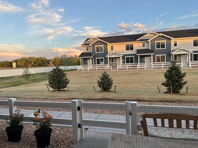 339 Condor Wy in Johnstown, CO - Building Photo - Building Photo