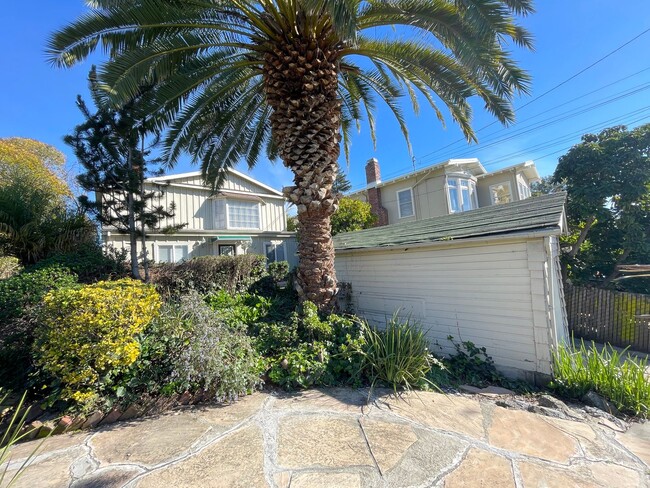 104 Olive Ave in Piedmont, CA - Building Photo - Building Photo