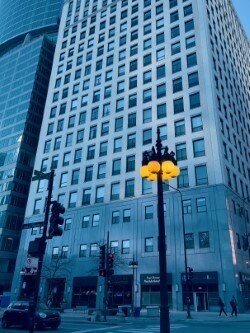 property at 910 S Michigan Ave