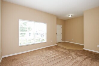 10337 Celtic Ash Dr in Ruskin, FL - Building Photo - Building Photo