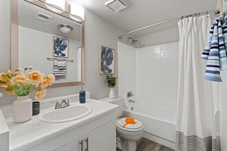 Alegria Apartment Homes in Tucson, AZ - Foto de edificio - Interior Photo