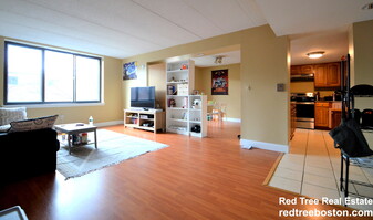85 Brainerd Rd in Boston, MA - Building Photo