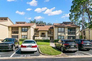 237 Woodlake Wynde in Oldsmar, FL - Building Photo