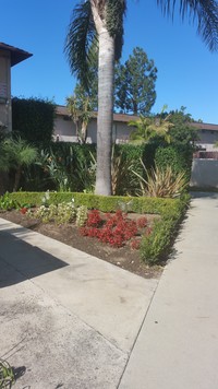 Beechwood Apartments in Santa Ana, CA - Foto de edificio - Building Photo