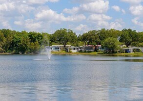 15435 Lakeshore Villa St in Tampa, FL - Building Photo