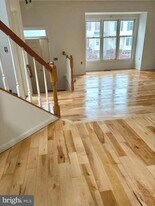 46336 Haven Terrace in Sterling, VA - Building Photo