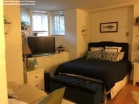 251 W Newton St, Unit 3 - 6
