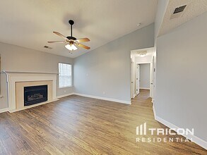 4206 Painted Trillium Ct in Matthews, NC - Building Photo - Building Photo