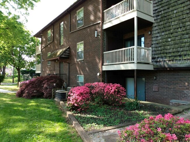 285 Grace St, Unit #3E in Pottstown, PA - Building Photo - Building Photo