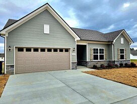 229 Republic St in Shelbyville, TN - Building Photo