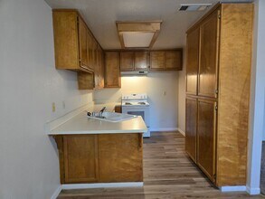 1923 Glen Ridge Dr in Ceres, CA - Building Photo - Building Photo