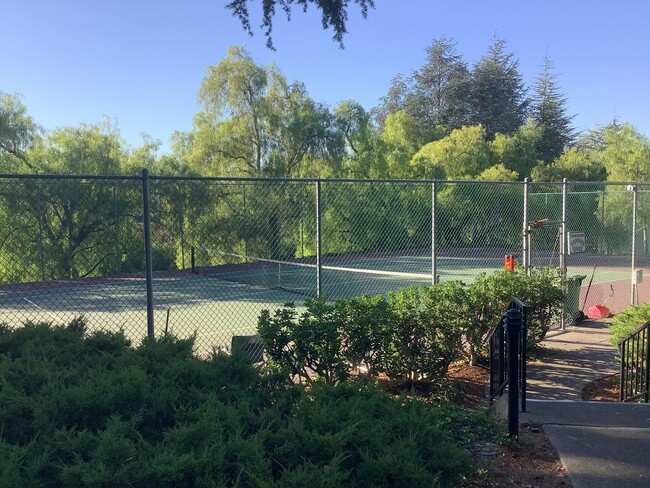 515 Pimlico Ct in Walnut Creek, CA - Building Photo - Building Photo