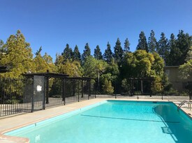 1020 Dolores St in Livermore, CA - Building Photo