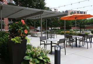 Cortland Landmark in Alexandria, VA - Building Photo - Building Photo